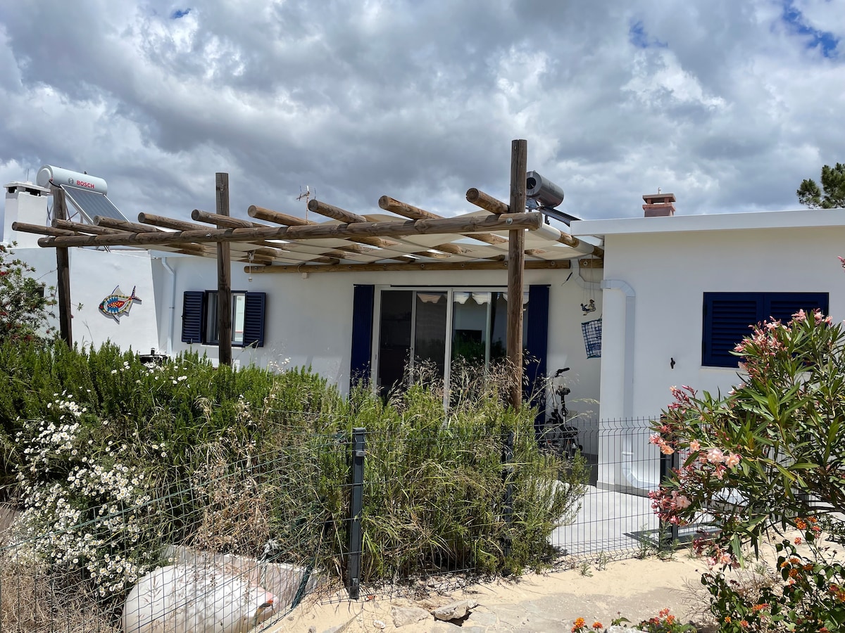 Tuin met beplanting – Casa das Árvores, Ilha Armona Algarve