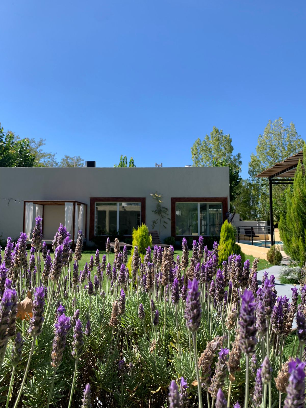 A view of the property from the garden features lavender plants in full bloom in the foreground. The modern building with large windows appears against a clear blue sky, surrounded by greenery and trees, creating a serene outdoor setting.