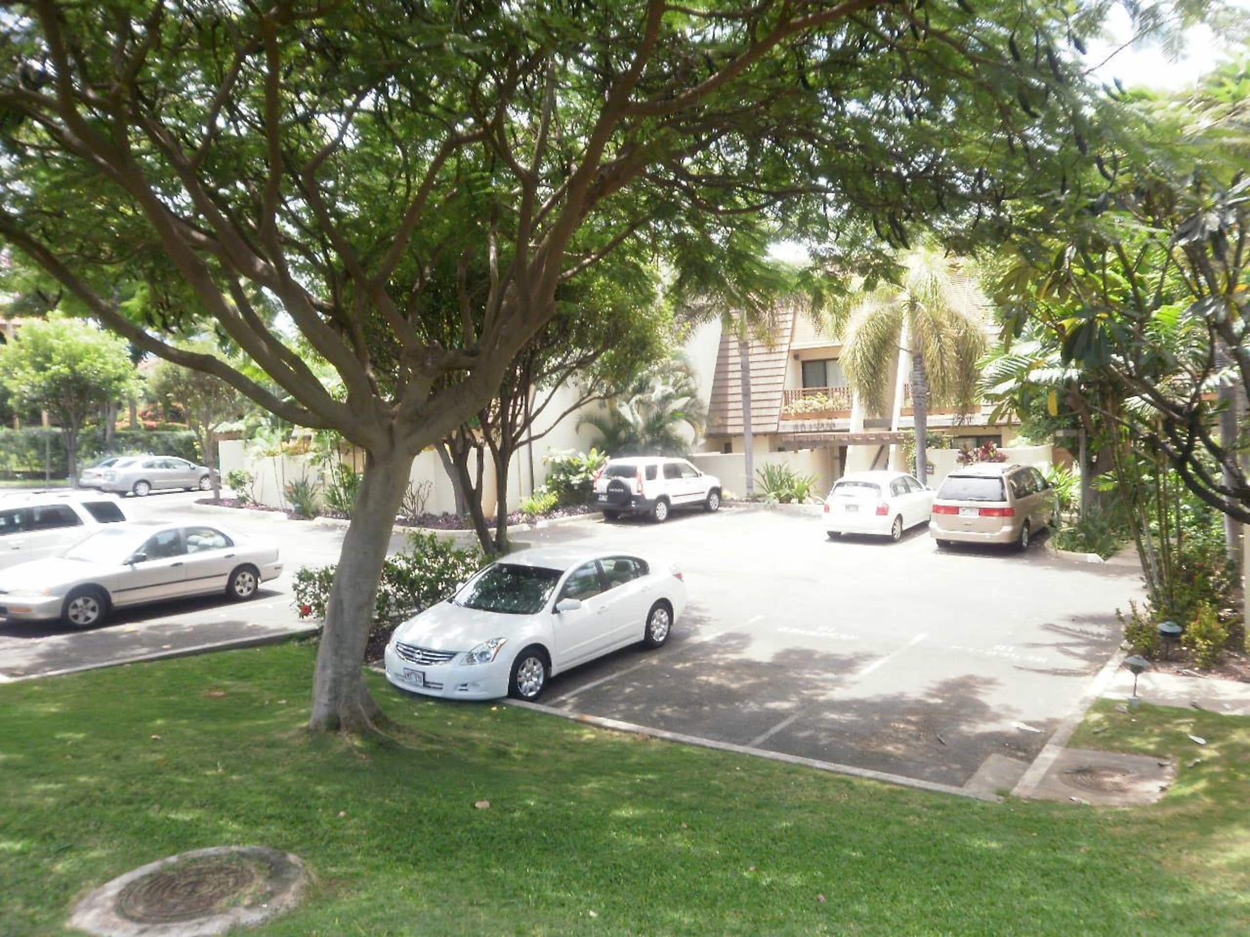 Condo in Kihei · ★4.98 · 1 bedroom · 1 bed · 2 baths - Image 15