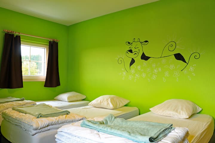 Habitación verde 3 camas 90*200