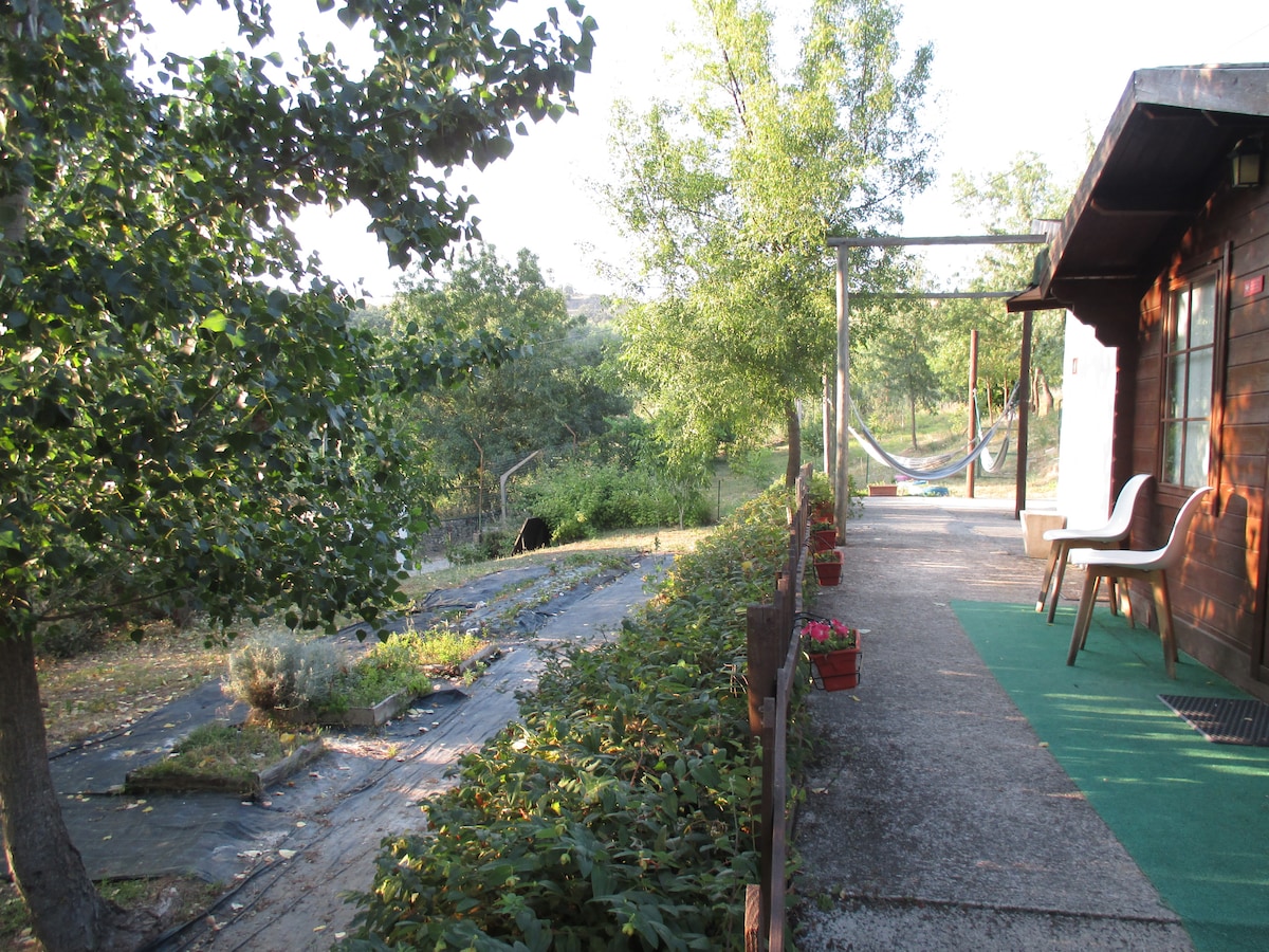A pathway leading to the wooden bungalow is framed by greenery and flowering plants. A comfortable chair sits on the porch, while a hammock hangs nearby. The landscape includes trees and open space, creating a serene outdoor environment.