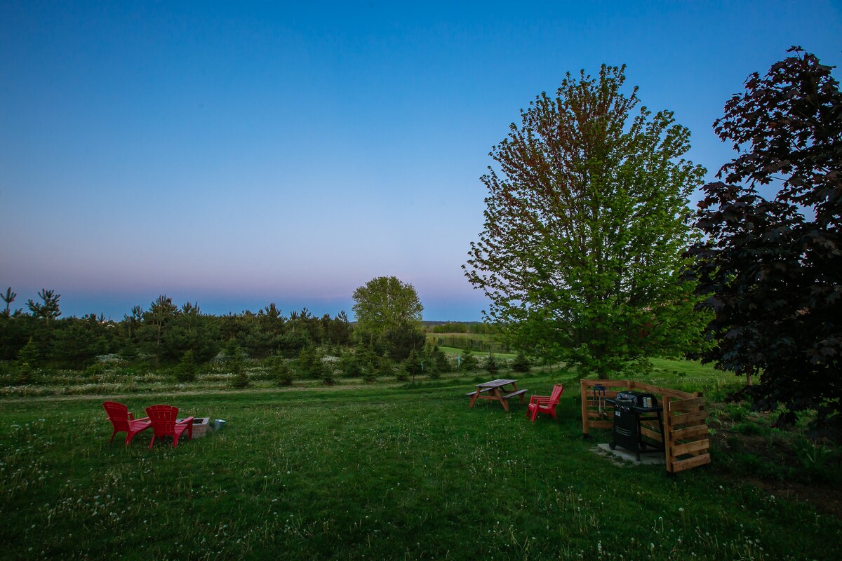 An outdoor area features several red Adirondack chairs arranged in a circle, surrounded by lush greenery. A picnic table with benches is visible nearby, along with a firepit positioned within a wooden enclosure. The sky transitions from twilight to dusk, adding a serene backdrop.