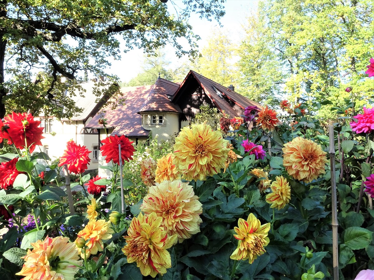 A vibrant garden filled with colorful dahlia flowers in shades of red and yellow surrounds a charming building with a sloped roof. Lush greenery and trees provide a natural backdrop, enhancing the tranquil outdoor setting.