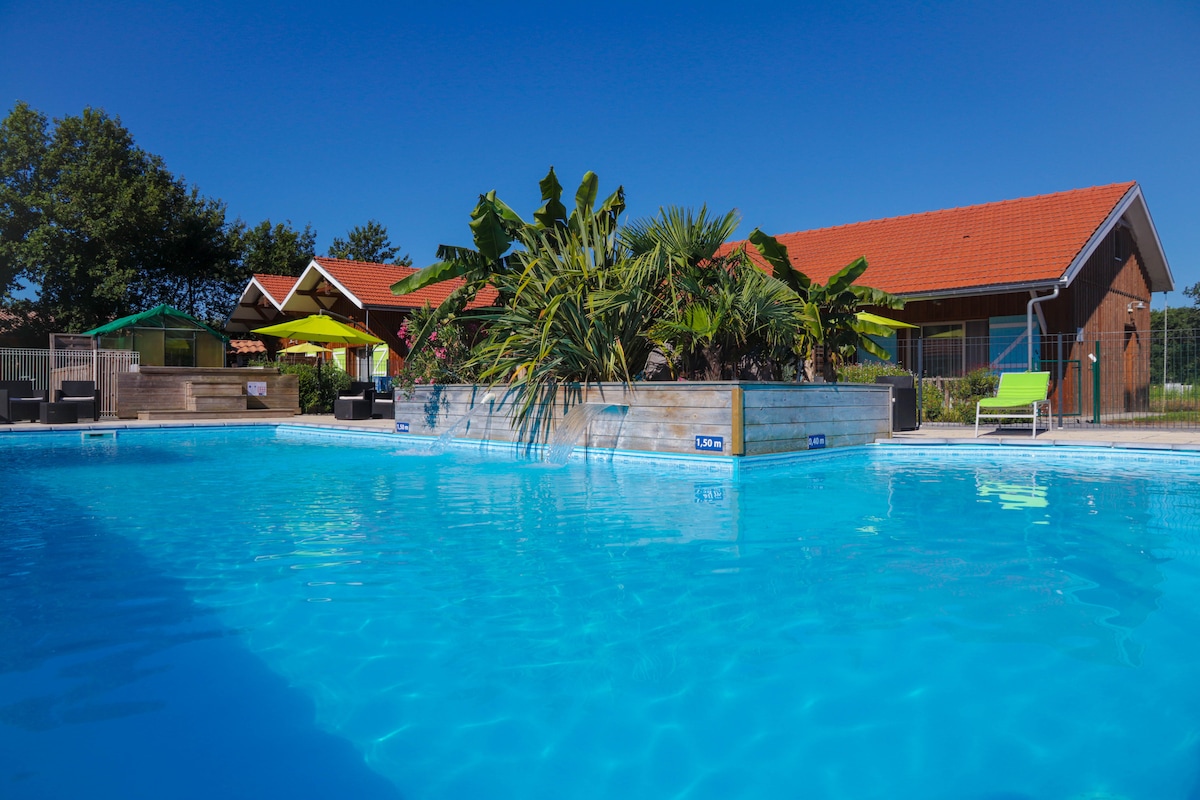 A clear, inviting pool is set surrounded by vibrant greenery and palm trees. Spacious lounge chairs and umbrellas provide relaxation areas. In the background, a row of villas with red rooftops can be seen, complementing the serene outdoor setting.