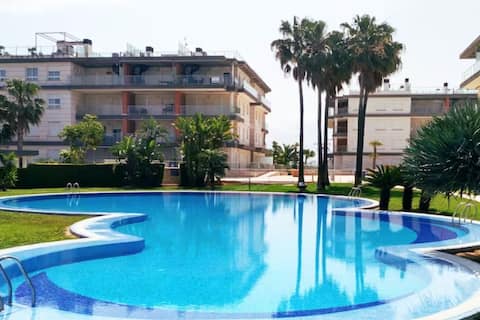 Paradise (Oliva Nova playa MET&GOLF)