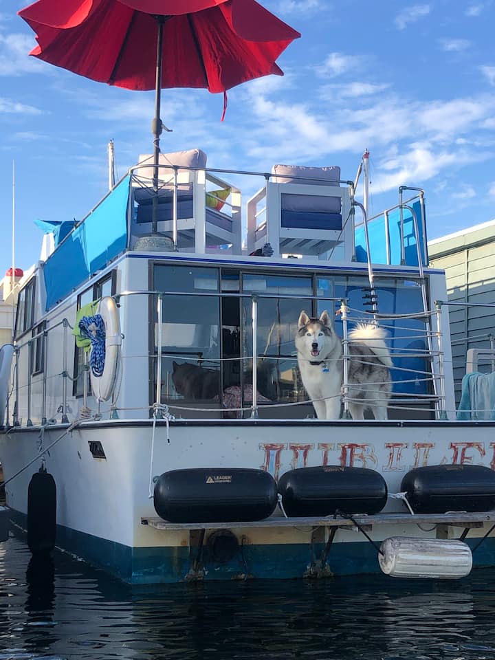 13 Best Houseboat Rentals Near Los Angeles, California Updated 2024