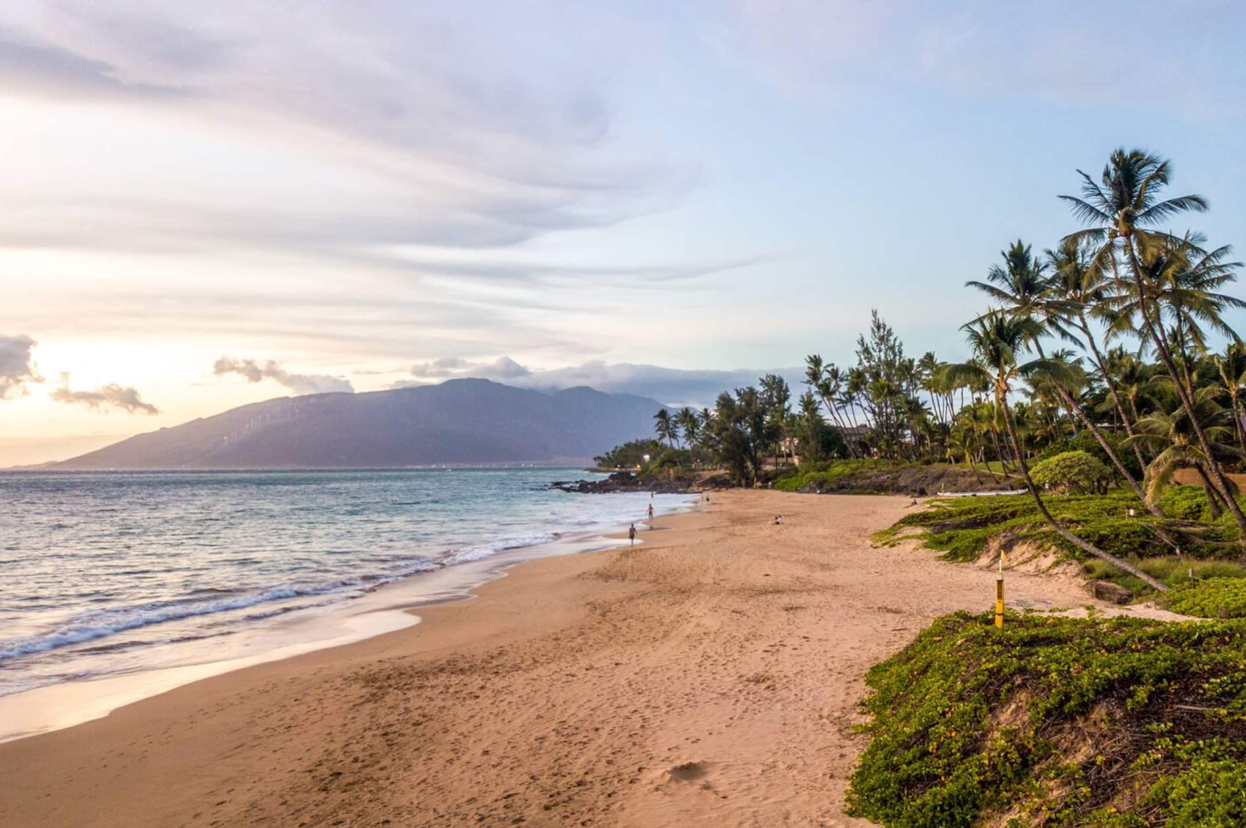 Home in Kihei · ★5.0 · 3 bedrooms · 3 beds · 3 baths - Image 19