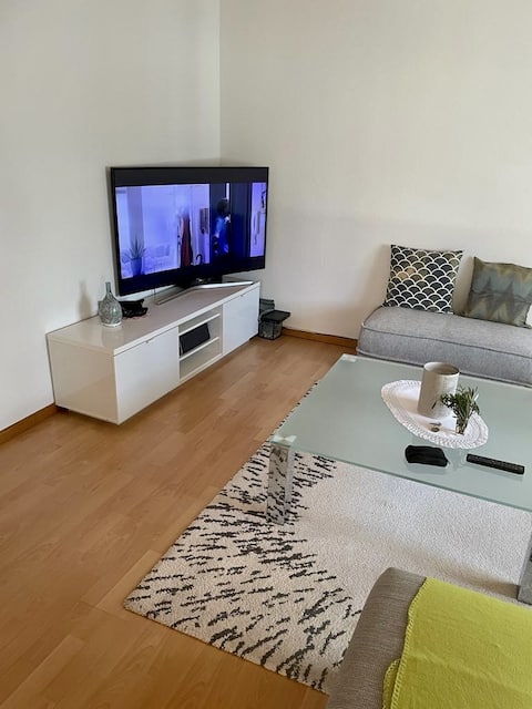 Successful Airbnb property: Zurich apartment in Altstetten