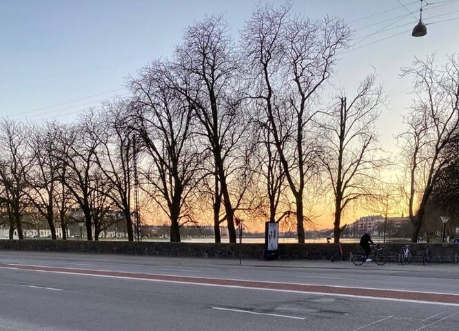 200+ sqm luxury flat in Østerbro with a lake view gallery image 5