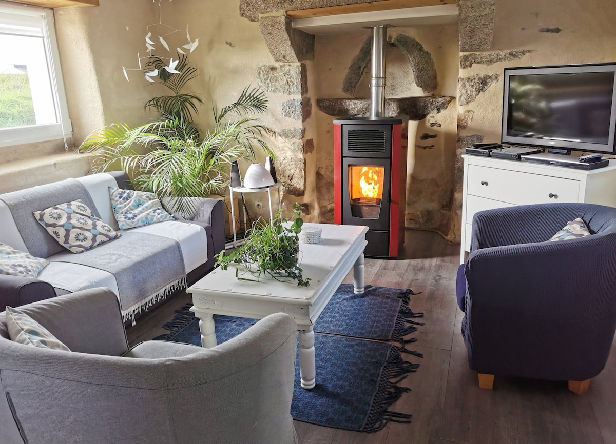 The living area features a combination of seating with light grey and navy blue sofas arranged around a central coffee table. A pellet stove is positioned prominently, providing warmth. A television is placed on a white cabinet, and greenery adds a refreshing touch.