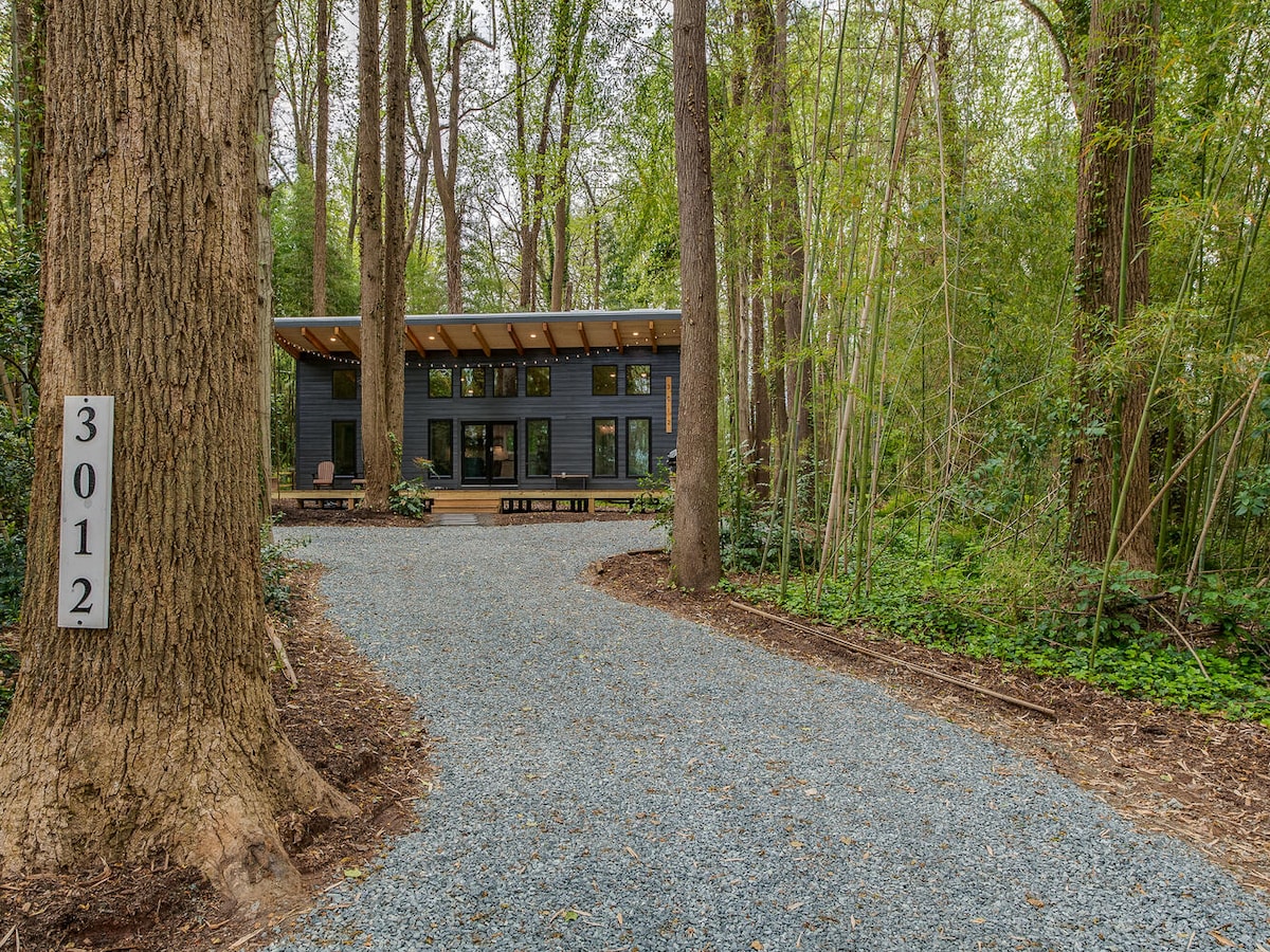 A gravel driveway winds through a lush forest, leading to a modern home with large windows and a covered deck. Tall trees surround the property, providing a natural canopy. The house's facade features a sleek design, complemented by a peaceful green environment.