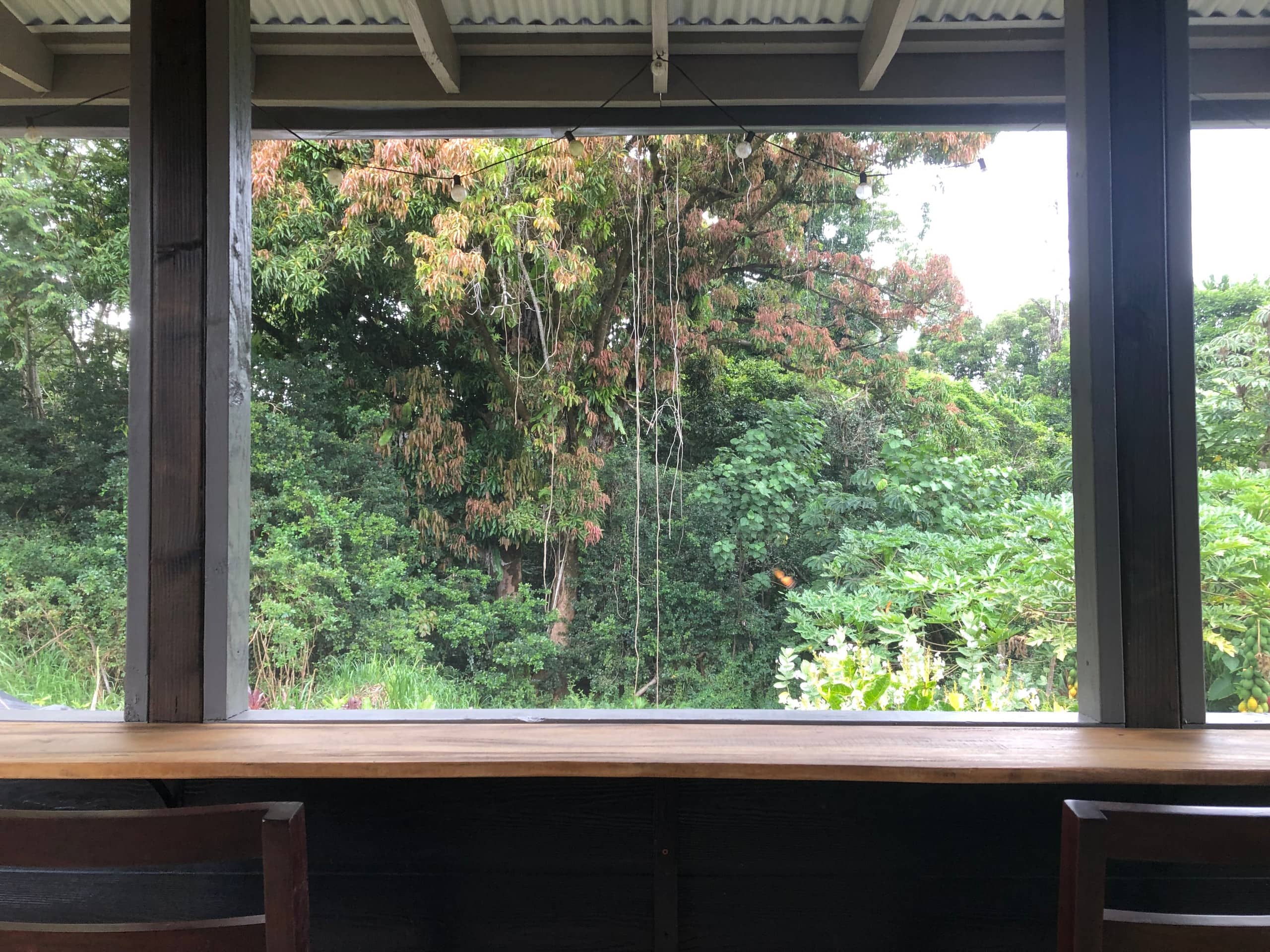 Guesthouse in Pahoa · ★4.94 · Studio · 1 bed · 1 private bath - Image 7