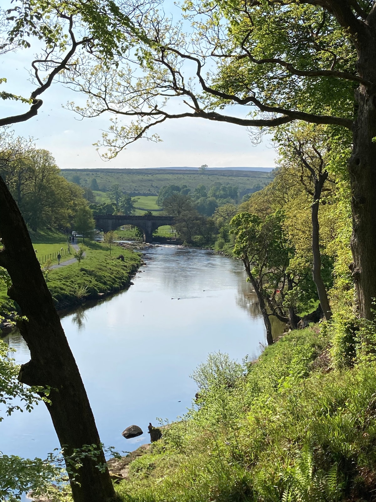 A serene river flows gently through a lush green landscape, framed by tall trees. A stone bridge is visible in the distance, creating a harmonious connection between the water and the rolling hills beyond. The scene is bathed in soft natural light, enhancing the tranquility.