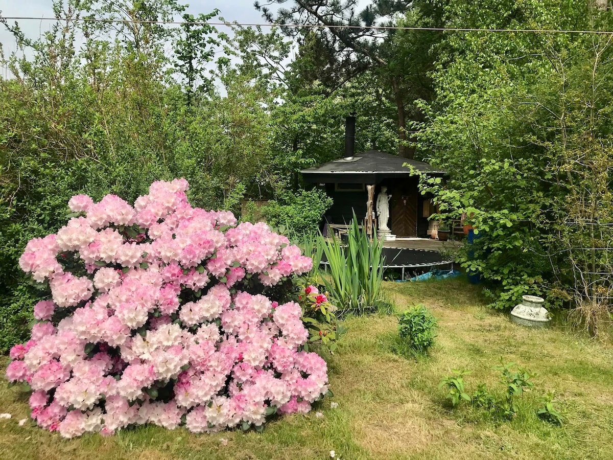 Сауна на дрва или дополнителна спална соба, 
со прозорци, електрична енергија и сопствена тераса сместена во рамките на дрвјата.
Голема трамбулина напред.  