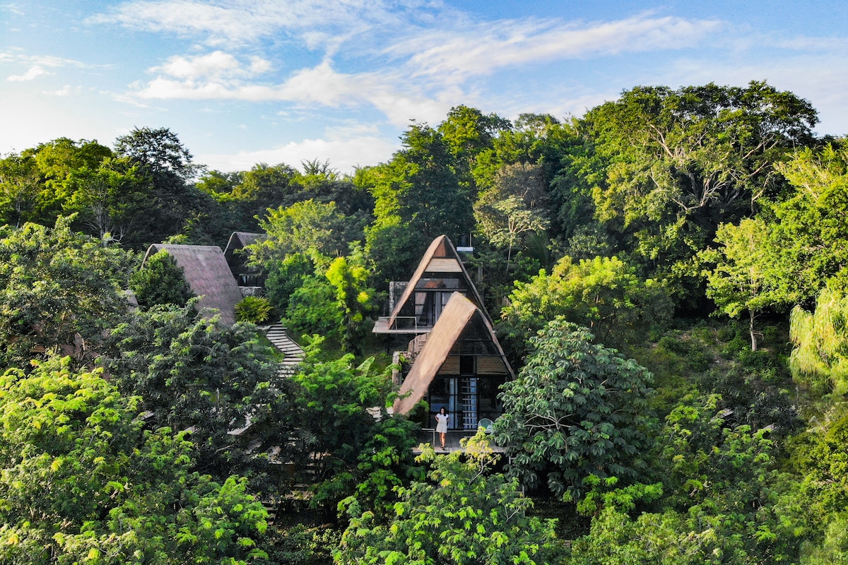 An aerial view reveals a modern cabin nestled within lush greenery, surrounded by vibrant tropical foliage. The triangular roof design complements its natural surroundings, while pathways lead from the entrance through the verdant landscape to the inviting front. Soft sunlight enhances the serene atmosphere.