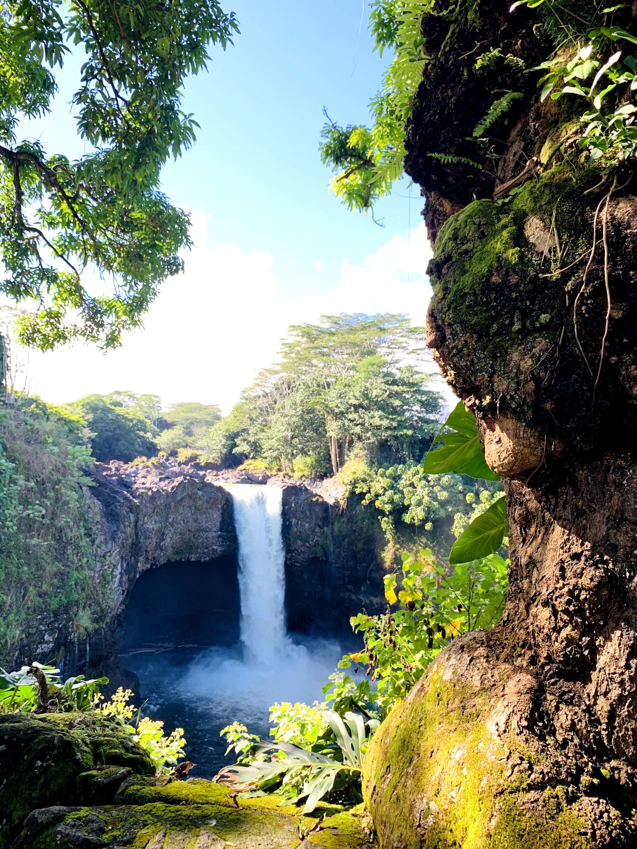 Summer Discounts at Waikoloa Beach Villas - Photo 14