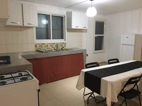 T2 Under thebreadfruit tree in Dzaoudzi Labattoir