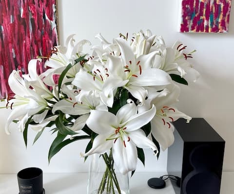 Top Airbnb: GREEN SPOT b/w CITY*Mersey*Lark Lane*Sefton Park in St Michael's