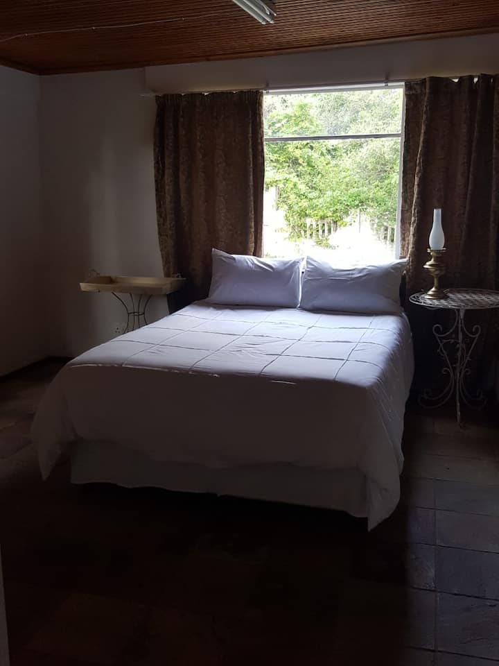 Bedroom 4 - can be separated from the main house  with dinning room, sleeper sofa, bathroom and kitchenette 