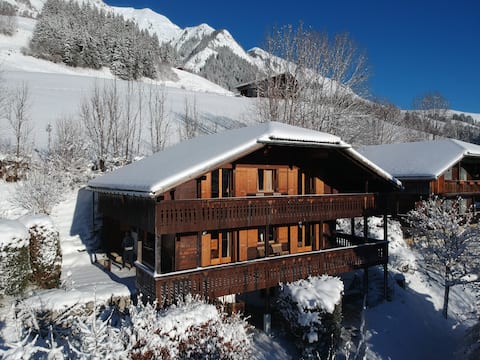 Chalet Dauphinelle with breathtaking views!