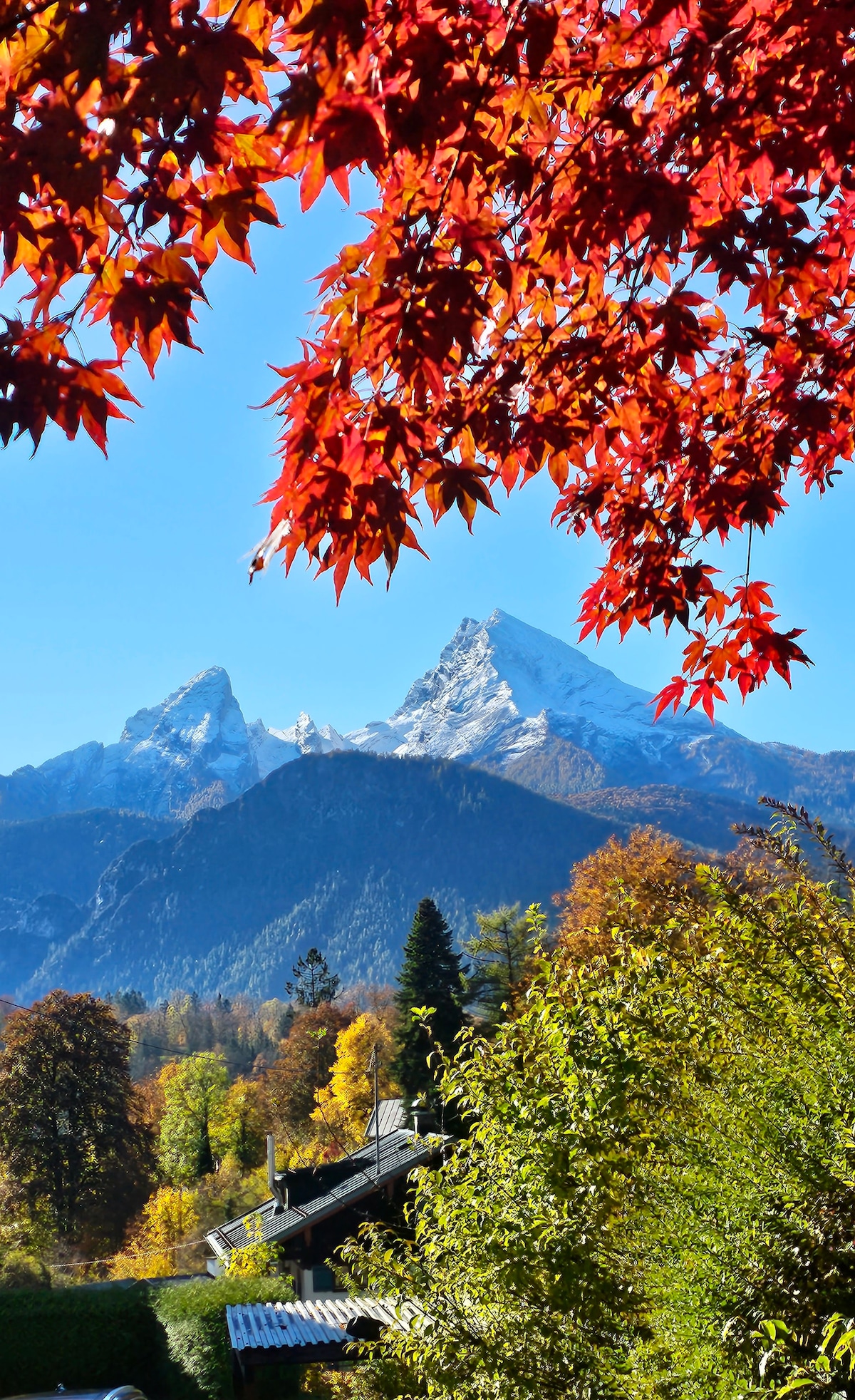 Vibrant autumn leaves frame a clear view of the snow-capped Watzmann mountains, contrasted against a bright blue sky. Lush greenery and trees with varied seasonal colors provide depth to the landscape, creating a serene natural setting.