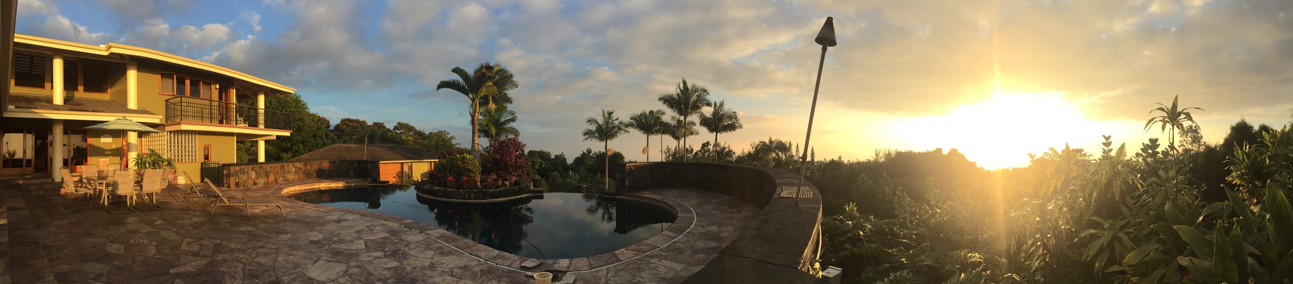 Luxury Pool, Oceanview, 7 acres of avos & fruit - Photo 31