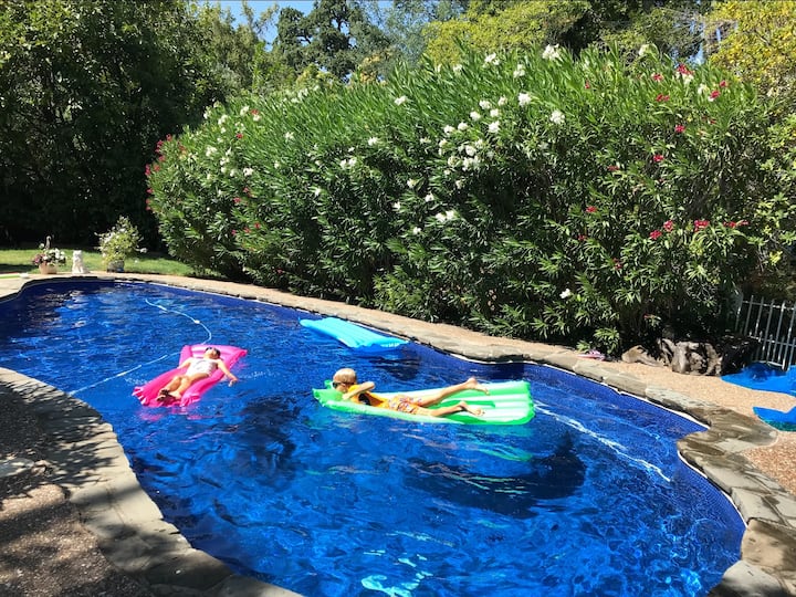 Private Ross Resort HomePool Near Trails/Downtown Houses for Rent in