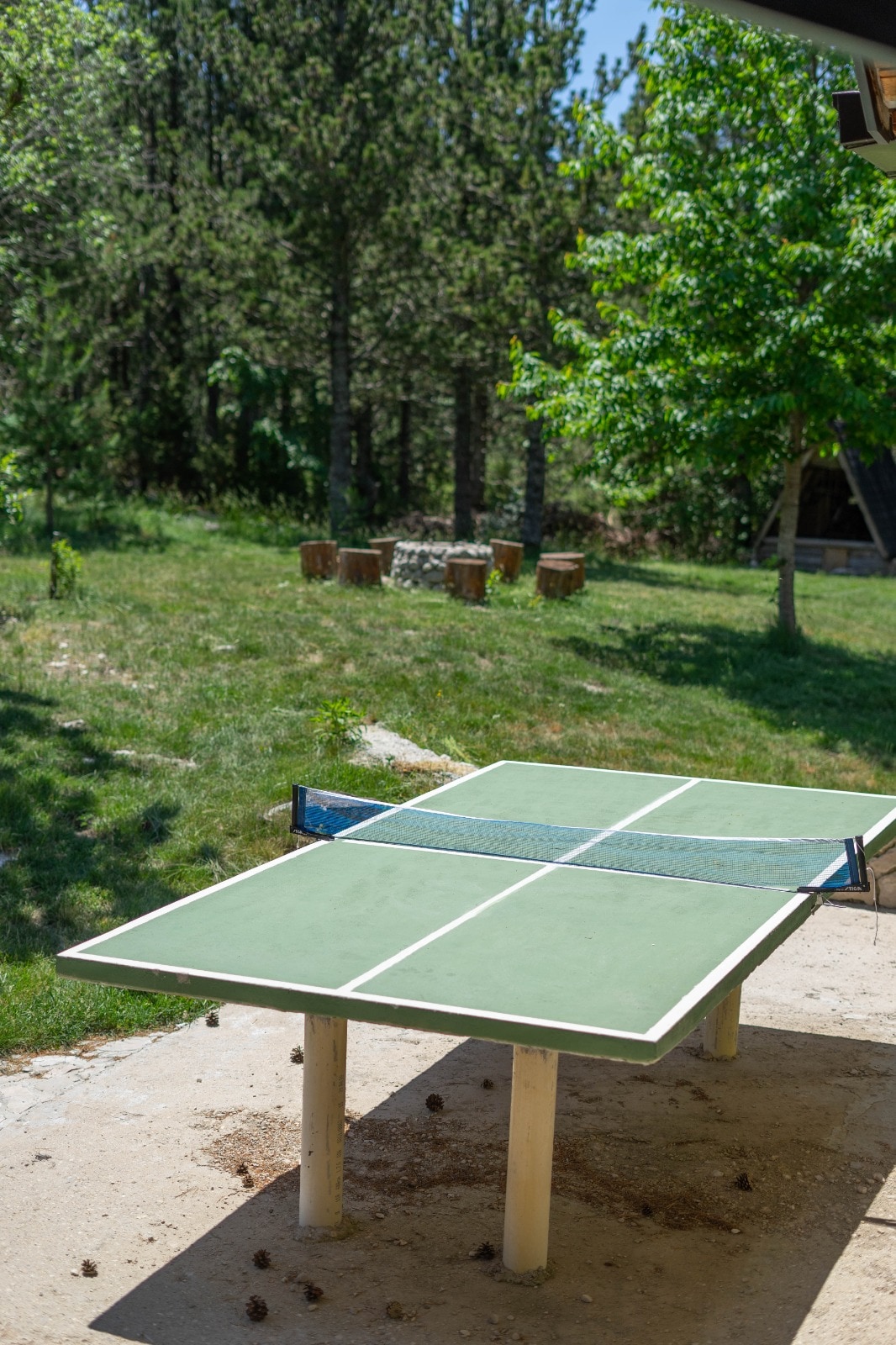 A green table tennis table is positioned outdoors, surrounded by a grassy area. Trees provide a natural backdrop, while a seating arrangement of logs is visible in the distance. Sunlight creates a bright atmosphere, enhancing the outdoor recreational space.