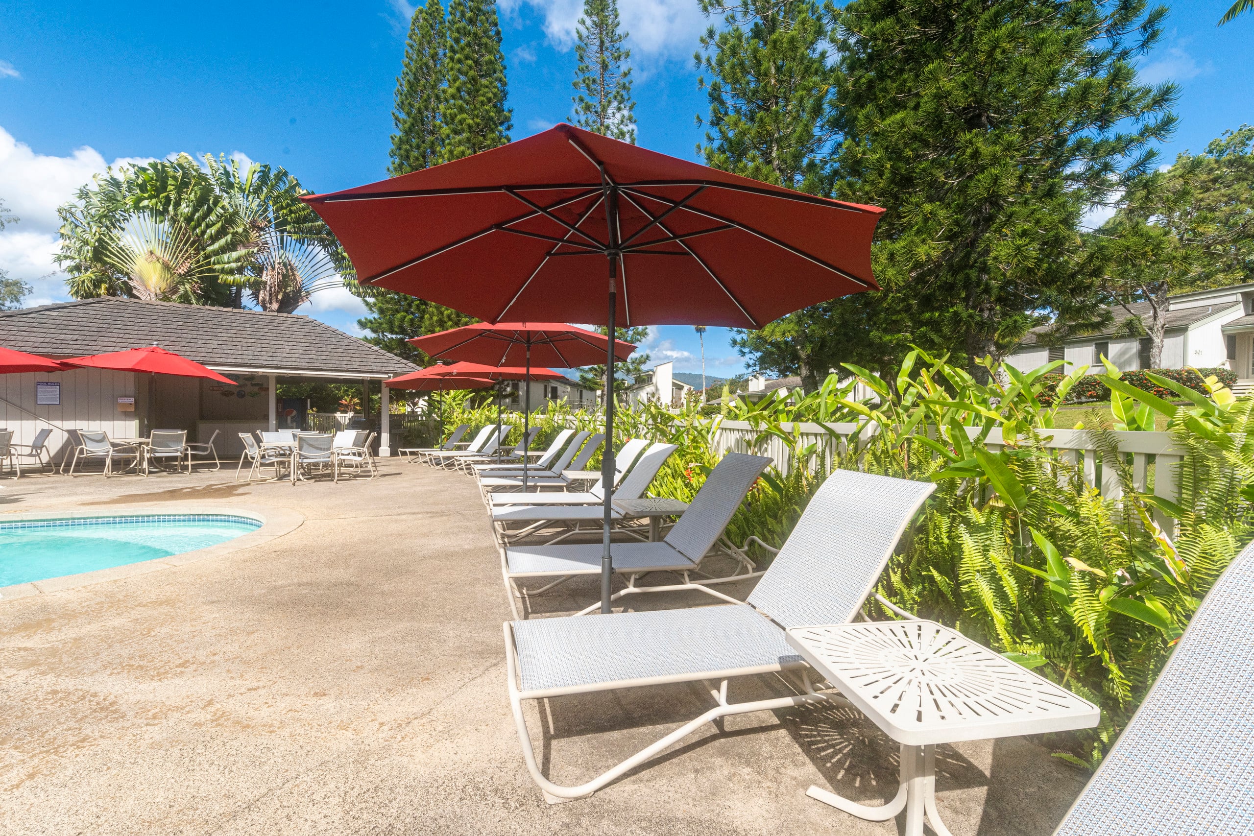 Condo in Kauai · ★4.75 · 1 bedroom · 2 beds · 1 shared bath - Image 19