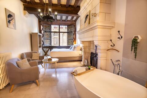 Historic house in the center of Angers L'Oisellerie