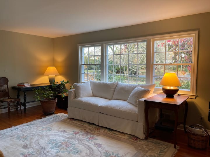 Living Room with Queen Sofa Bed