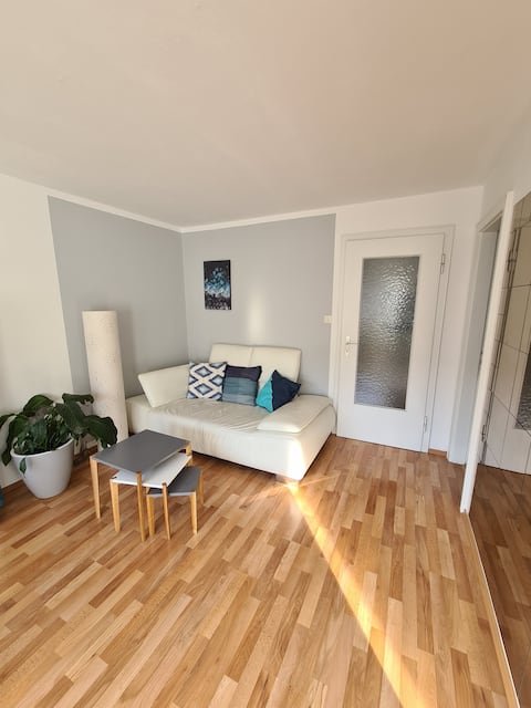 Top Airbnb: Bright Apartment near the Isar River & City Centre in Untere Au