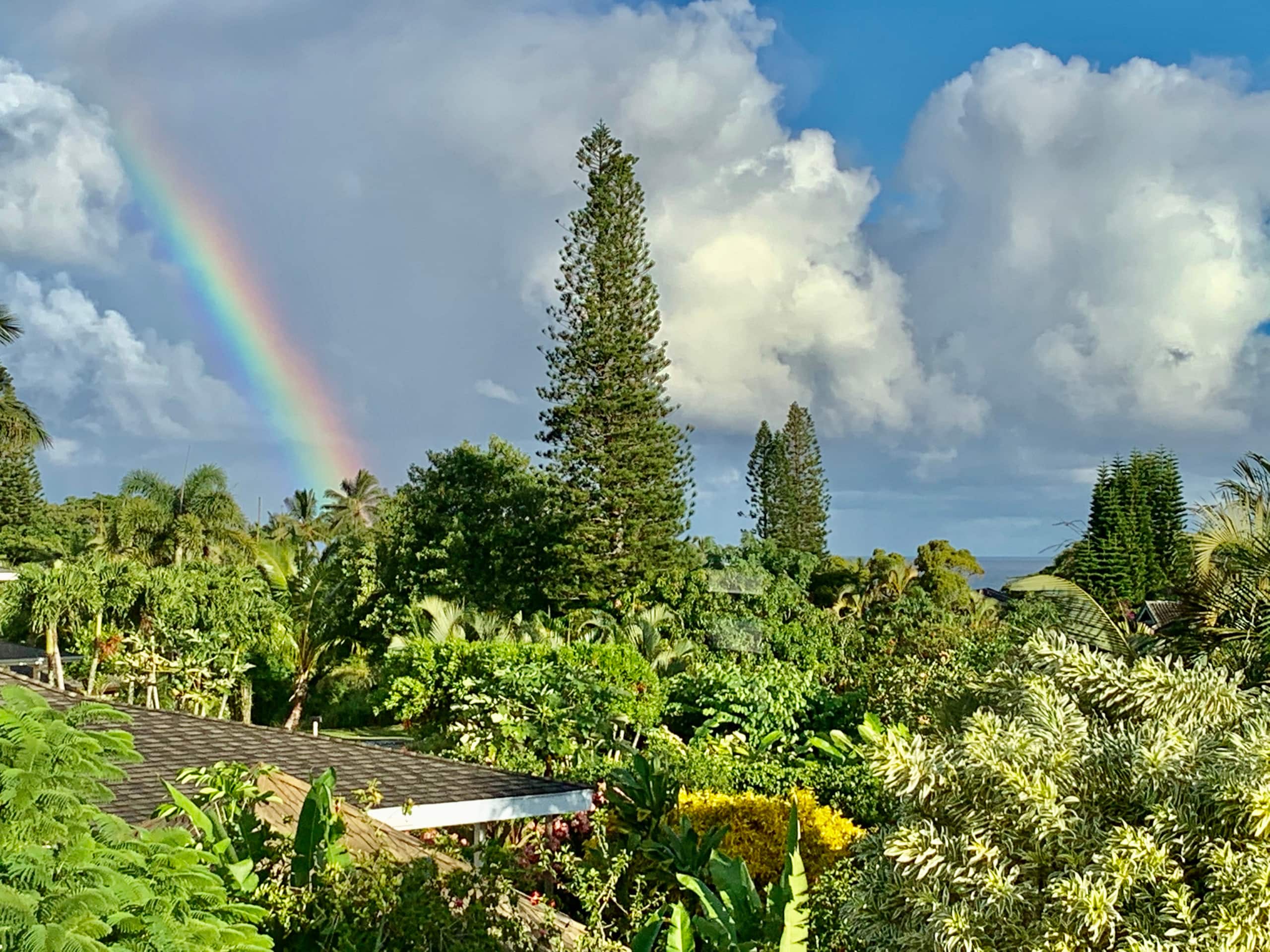 Home in Princeville · ★4.99 · 4 bedrooms · 5 beds · 3 private baths - Image 8