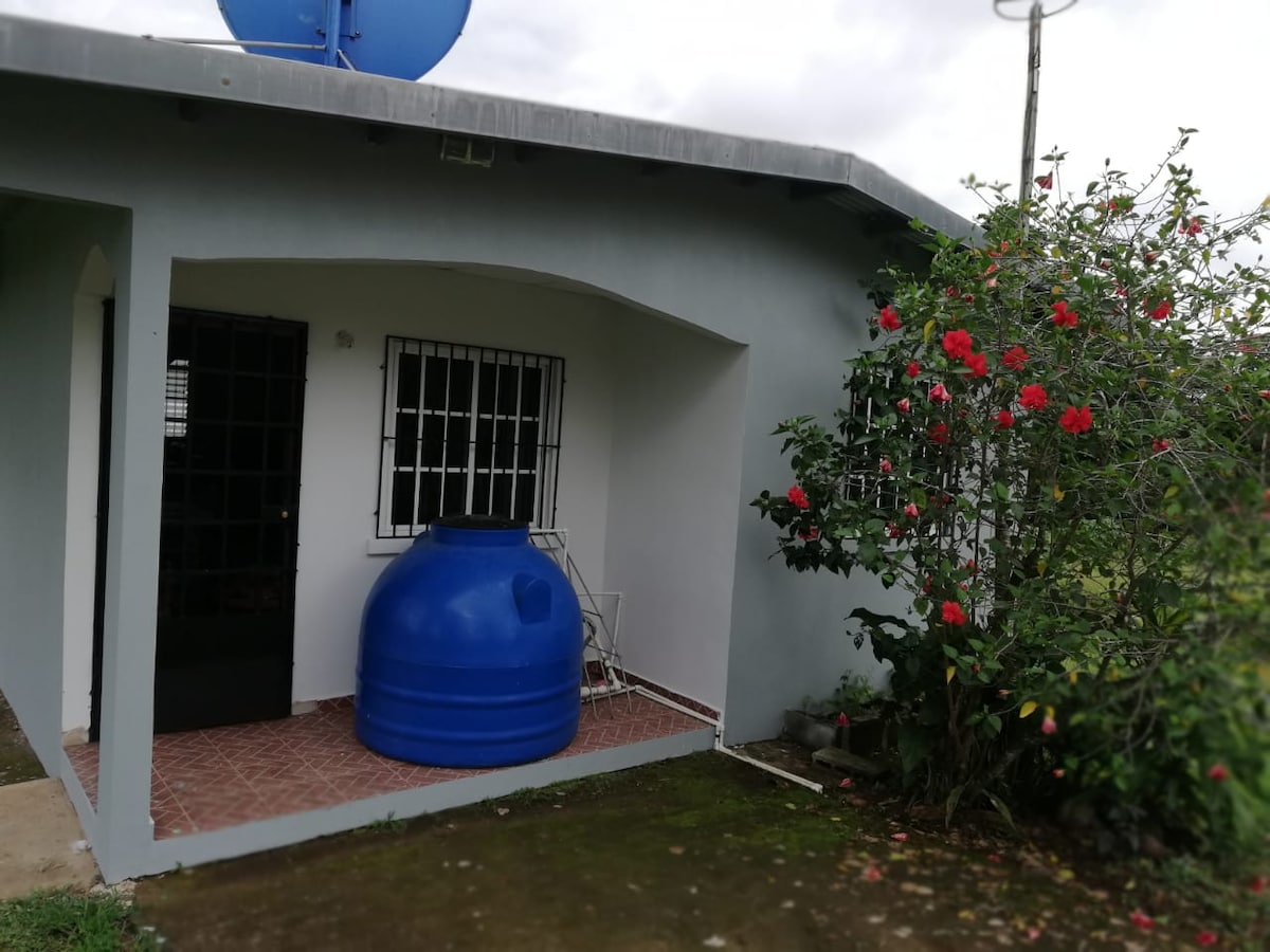 A simple exterior view of the house is shown, featuring a blue water tank placed beside a vibrant flowering bush. The entrance has a black door framed by a window with metal bars. A portion of the walkway is visible, leading to the entrance.
