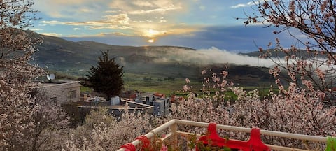 Jasmine Suites - White Jasmine