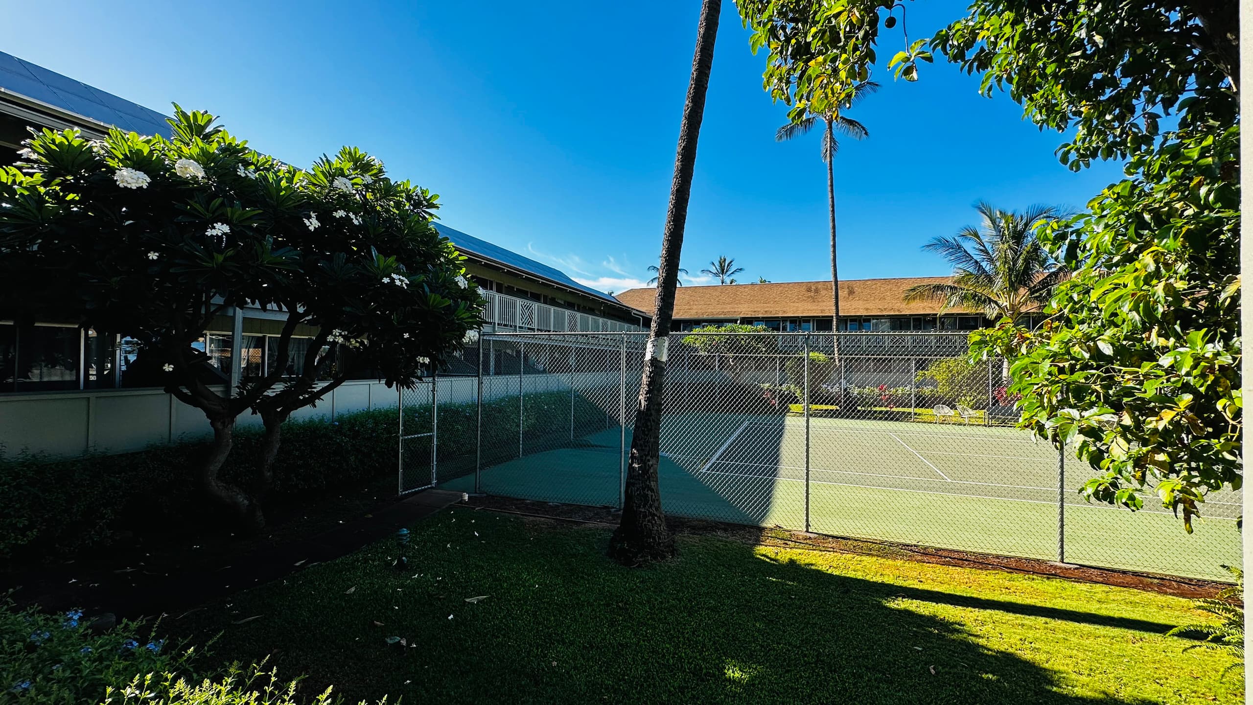 Hawaiian Paradise Escape Across Street from Beach - Image 7