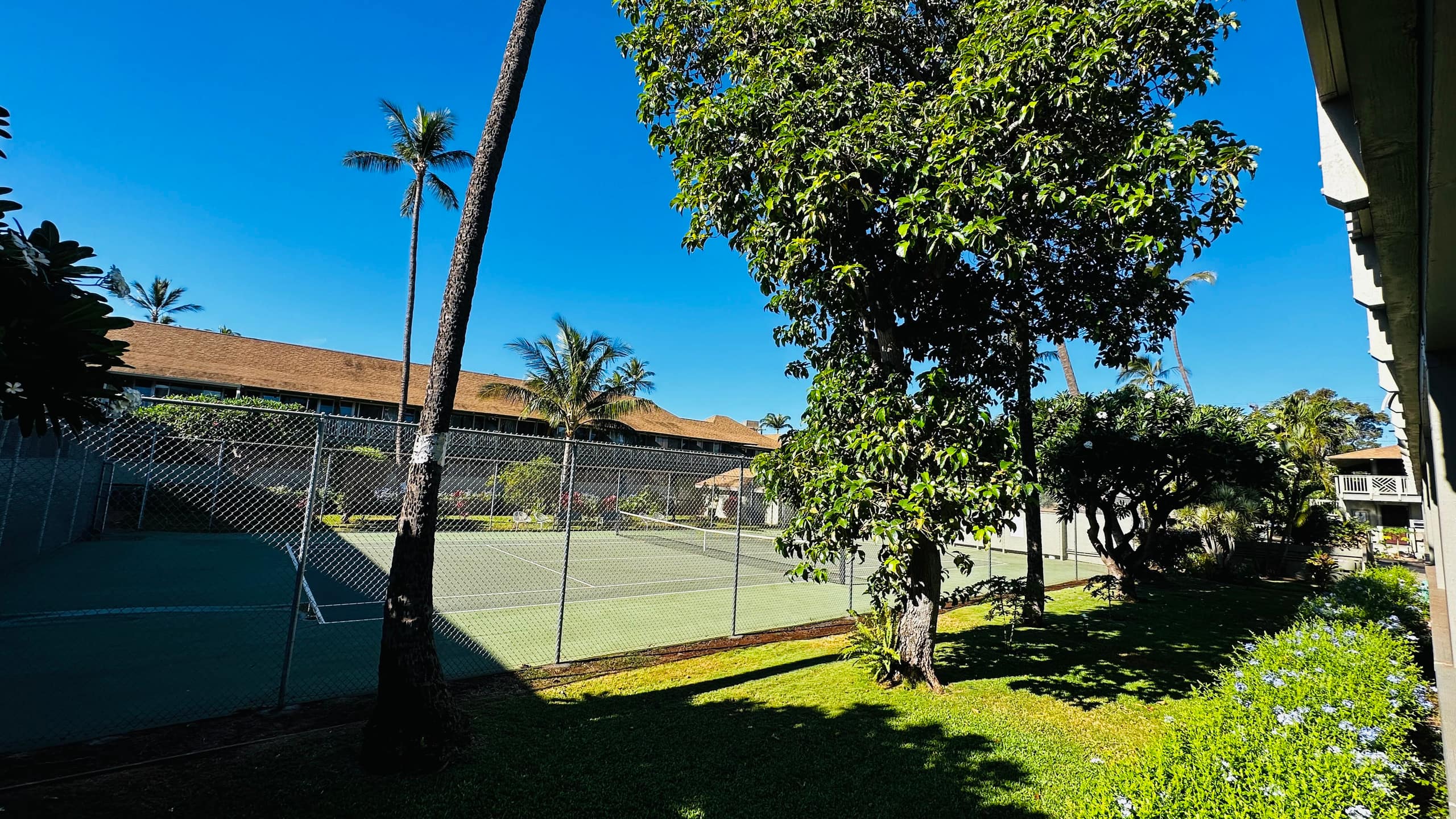 Hawaiian Paradise Escape Across Street from Beach - Image 11