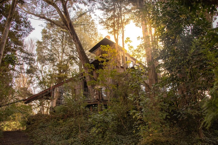 comfortable treehouse with a lovely garden