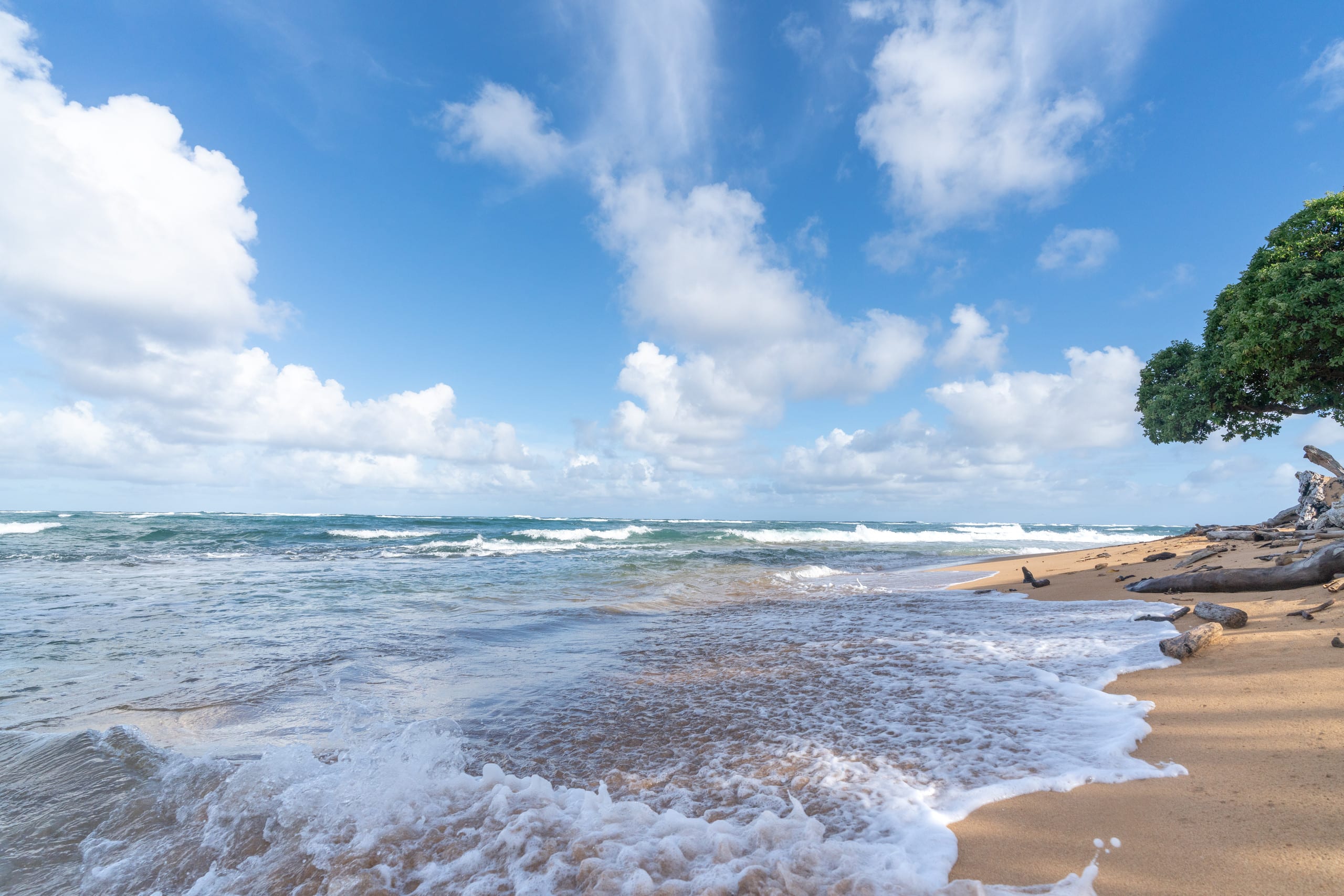 Condo in Kapaa · ★4.84 · 2 bedrooms · 2 beds · 1 private bath - Image 21