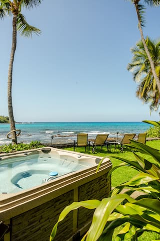 Kona Dolphin and Whale House. Rare Oceanfront. Spa