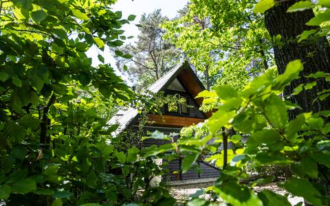 residence de saevelsberg in the forrest