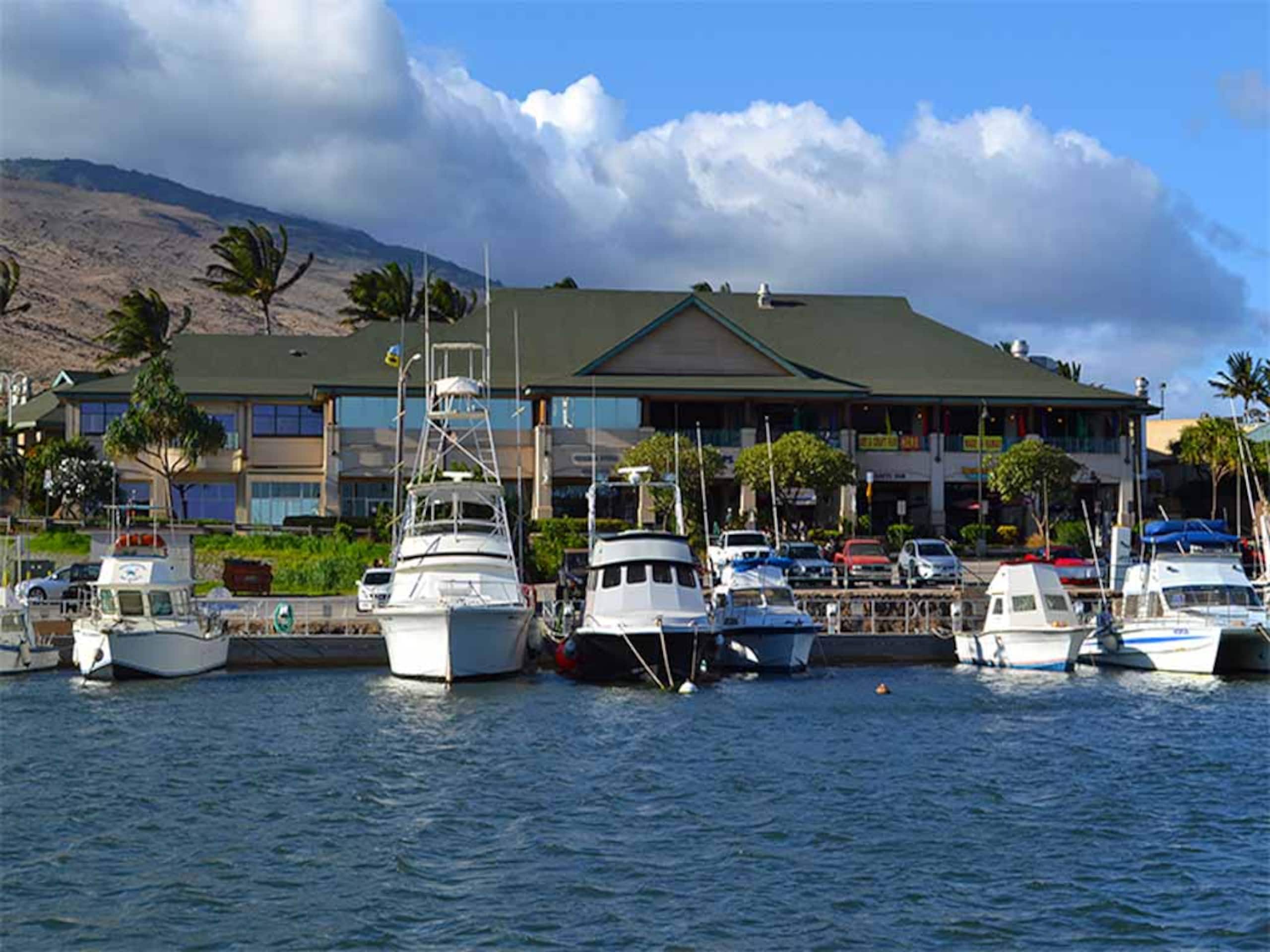 Condo in Wailuku · ★4.68 · 3 bedrooms · 3 beds · 2 baths - Image 43