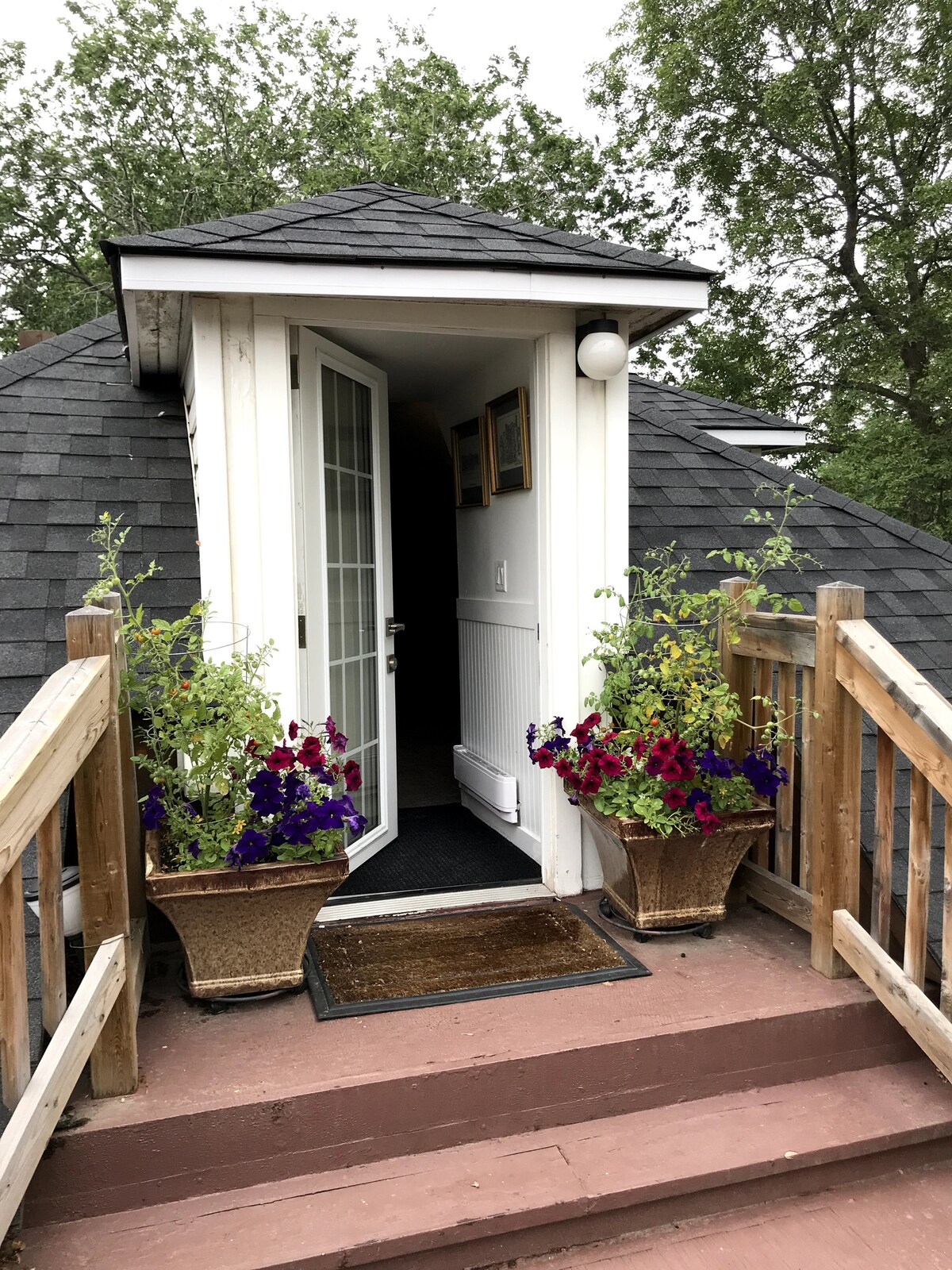The entrance features double French doors opening into a cozy studio apartment. Colorful flower pots filled with blooming flowers are placed on either side of the steps, enhancing the welcoming ambiance of the home.