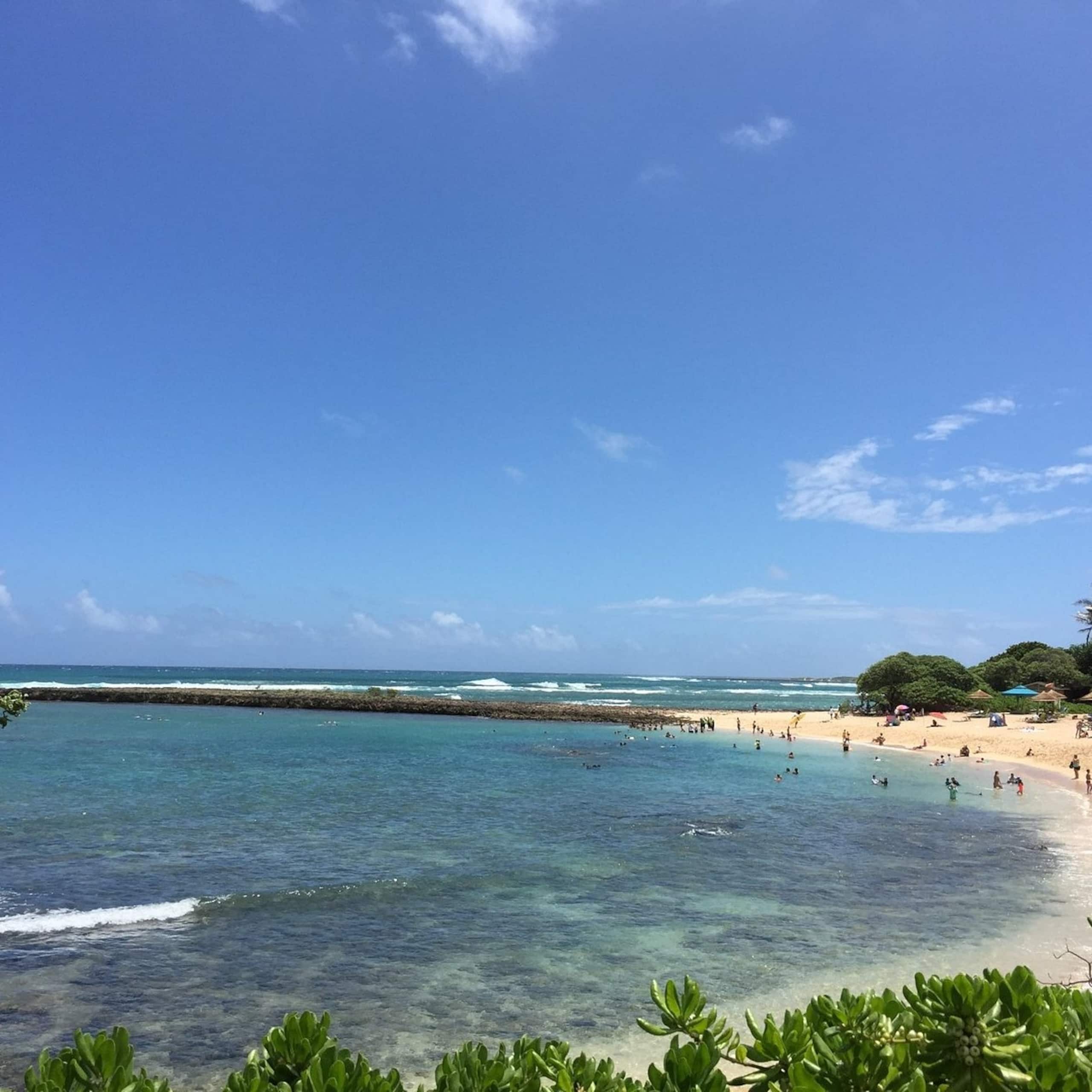 Condo in Kahuku · ★4.89 · Studio · 1 bed · 1 private bath - Image 34