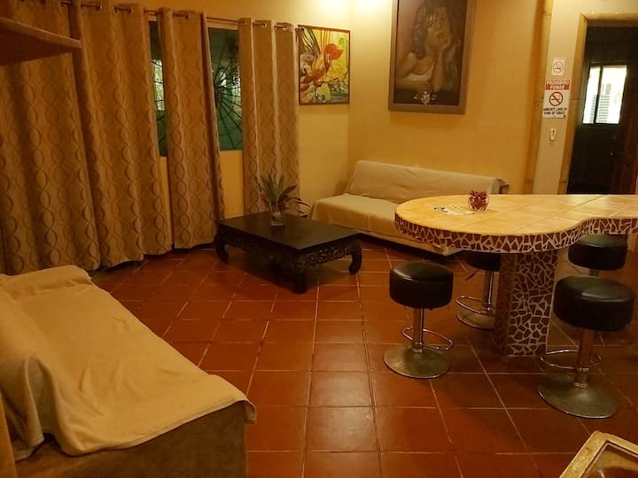 2 Bedroom Apt @ World's First Tropical Urban Park — 2 bedroom vacation rental in Puerto Jiménez
