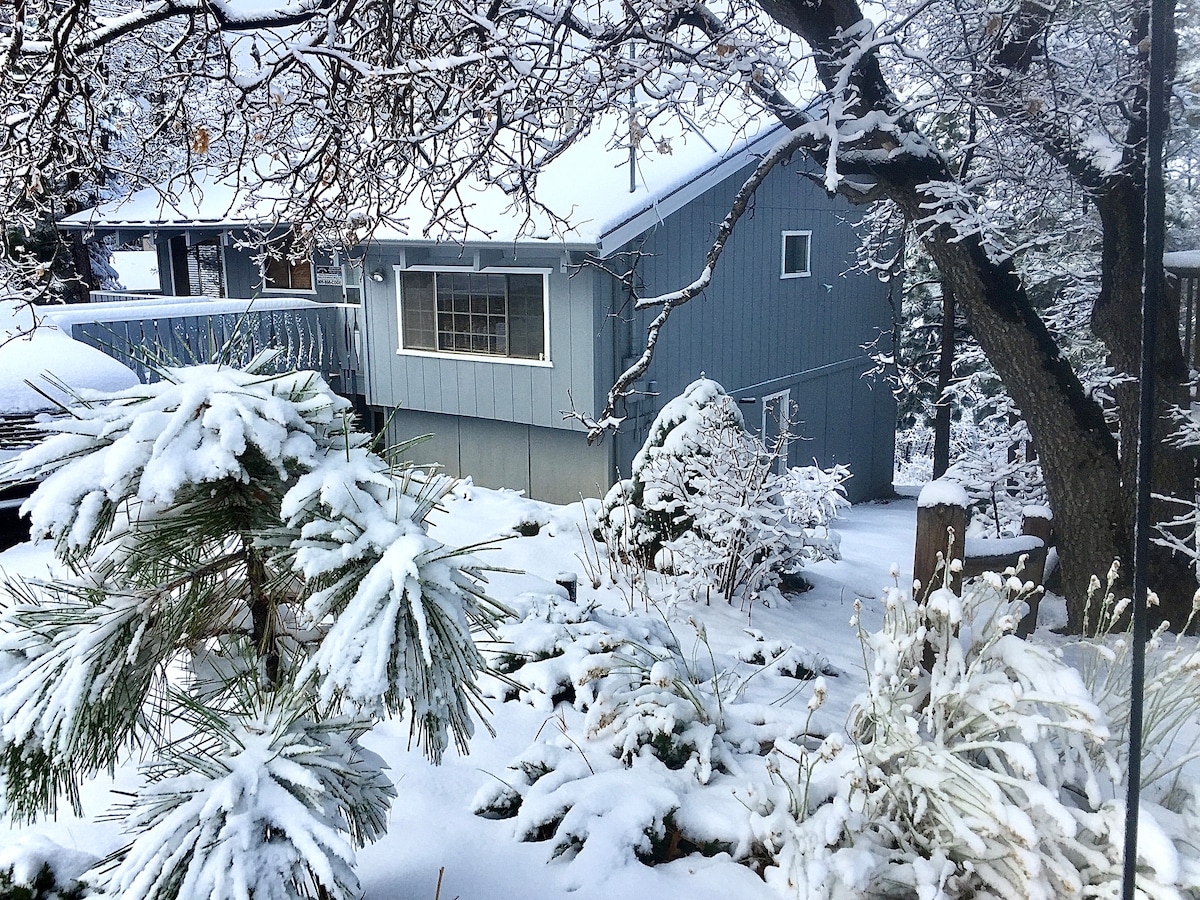 A wintery scene showcases a blue cabin nestled among snowy trees and shrubs. The surrounding plants are lightly dusted with snow, while a clear view of the cabin's architecture is presented. The backdrop features a serene landscape blanketed in white.