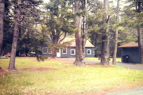 Pocono Rustic Cabin: Hawk's Nest