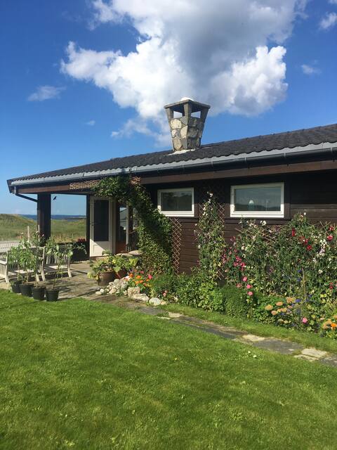 Cabin on Hellestøstranden