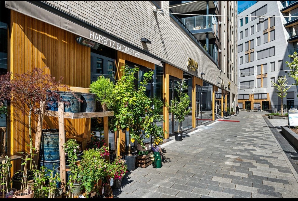 A vibrant outdoor area is presented, featuring a paved walkway lined with planters and lush greenery. Various potted plants, including flowers and shrubs, add color and life to the space, with attractive storefronts in the background, enhancing the community feel.