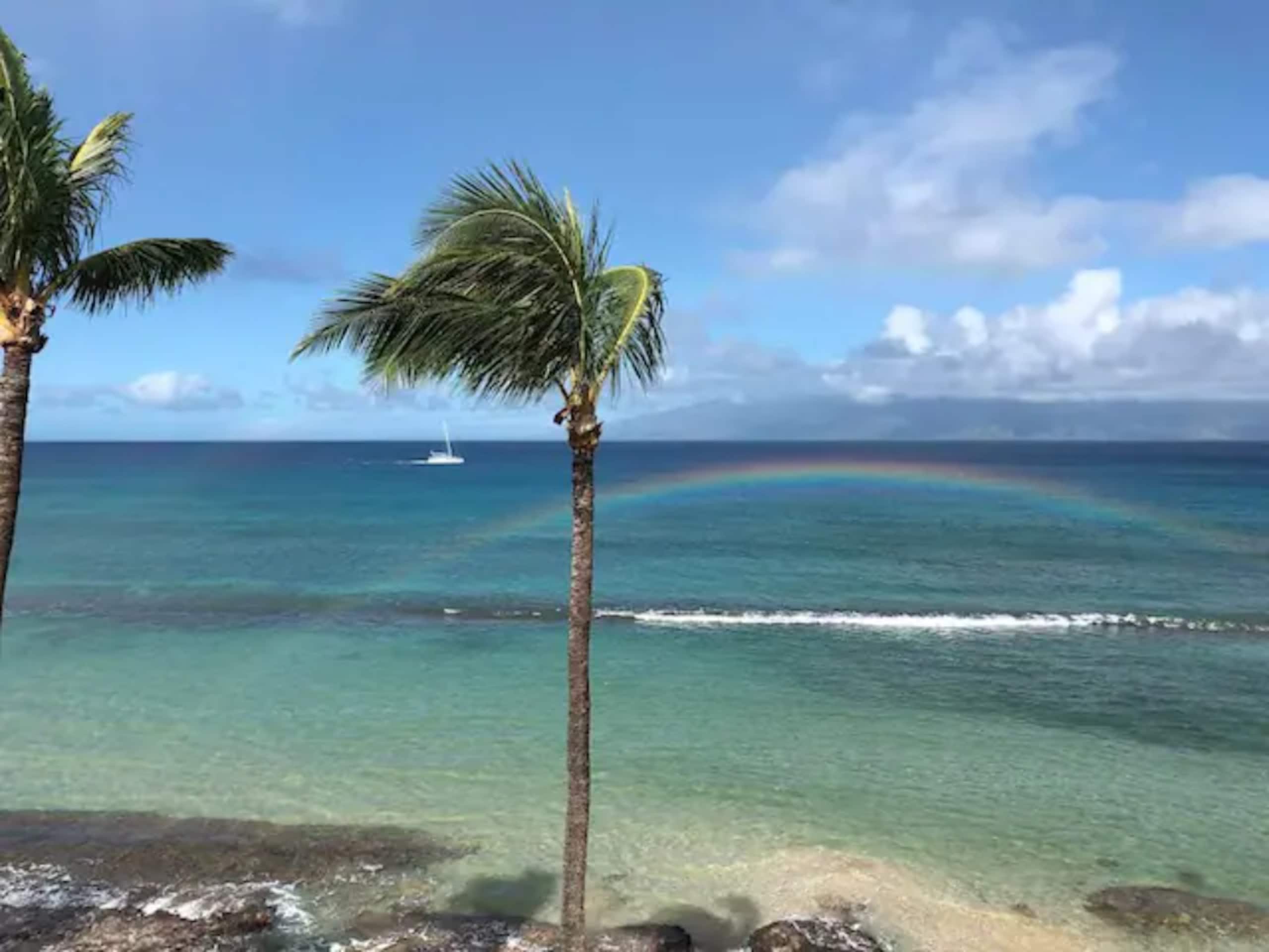 Condo in Lahaina · ★4.98 · 1 bedroom · 1 bed · 1 bath - Image 2